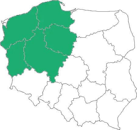 obszar-działania-wielkopolskie-tonybusy-transport-przewozy-osob-przewoz-paczek-door-to-door
